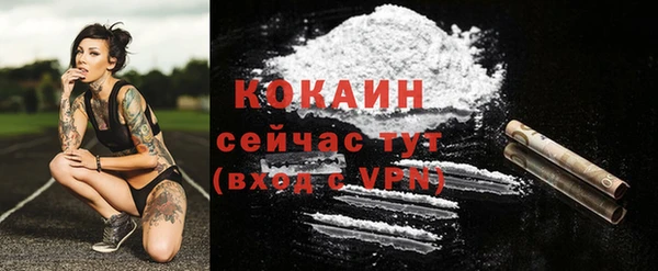 COCAINE Краснослободск