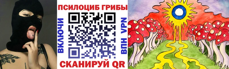 Галлюциногенные грибы MAGIC MUSHROOMS  Купить закладки  Чекалин 